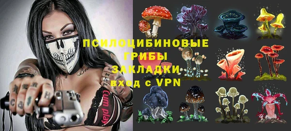 дмт Алзамай