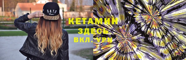 дмт Алзамай