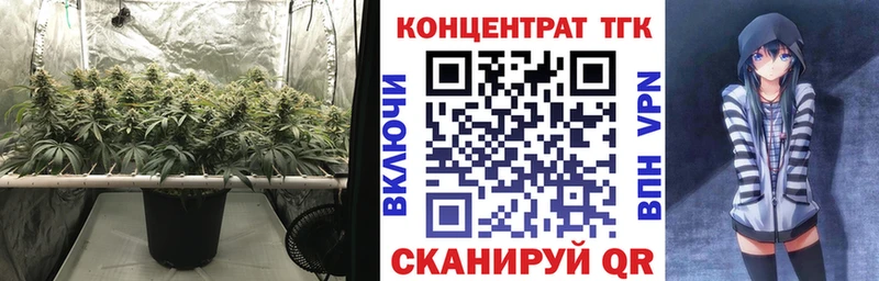 ТГК Wax  Инсар 