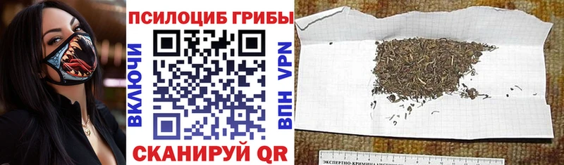 Псилоцибиновые грибы мухоморы  закладка  Инсар 