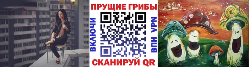 Галлюциногенные грибы Psilocybine cubensis Инсар